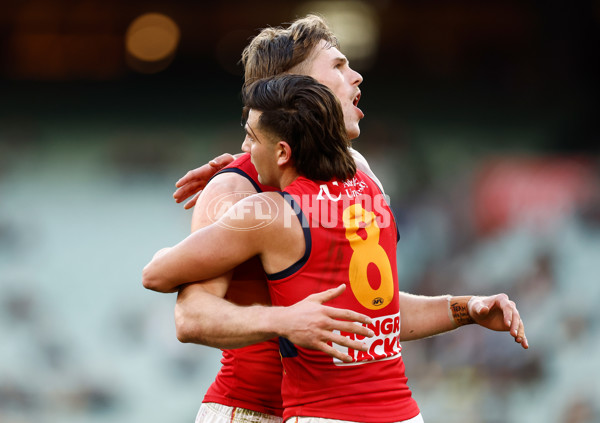AFL 2025 Round 16 - Richmond v Adelaide - A-60282700