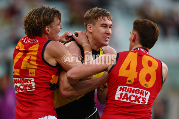 AFL 2025 Round 16 - Richmond v Adelaide - A-60282741