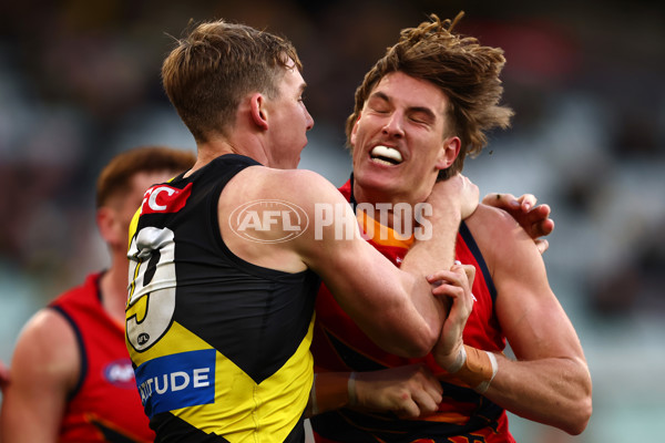 AFL 2025 Round 16 - Richmond v Adelaide - A-60283494