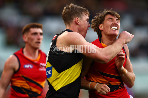 AFL 2025 Round 16 - Richmond v Adelaide - A-60283495