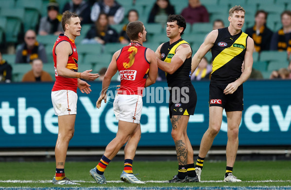 AFL 2025 Round 16 - Richmond v Adelaide - A-60283528