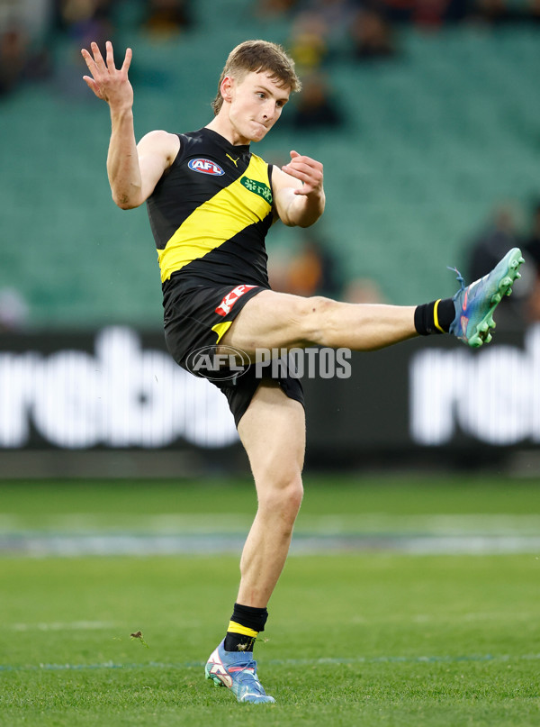 AFL 2025 Round 16 - Richmond v Adelaide - A-60285465