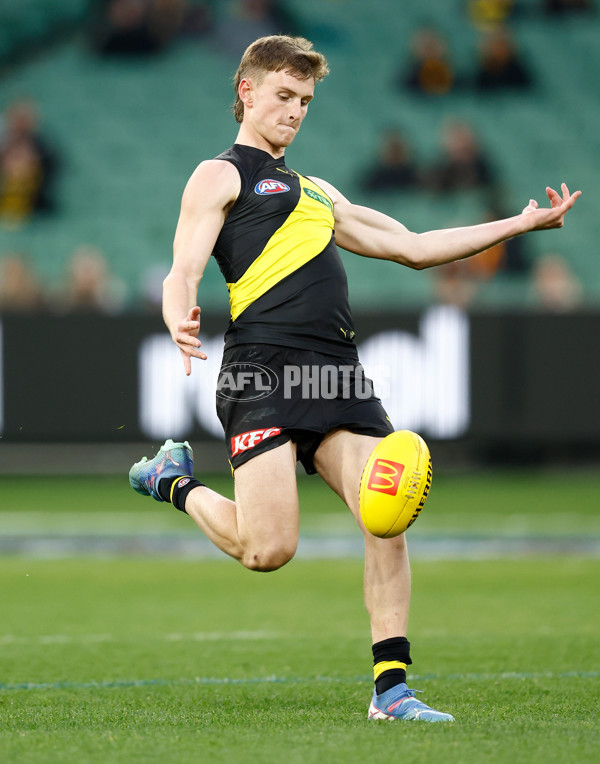 AFL 2025 Round 16 - Richmond v Adelaide - A-60285466