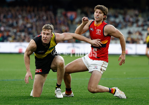 AFL 2025 Round 16 - Richmond v Adelaide - A-60286355