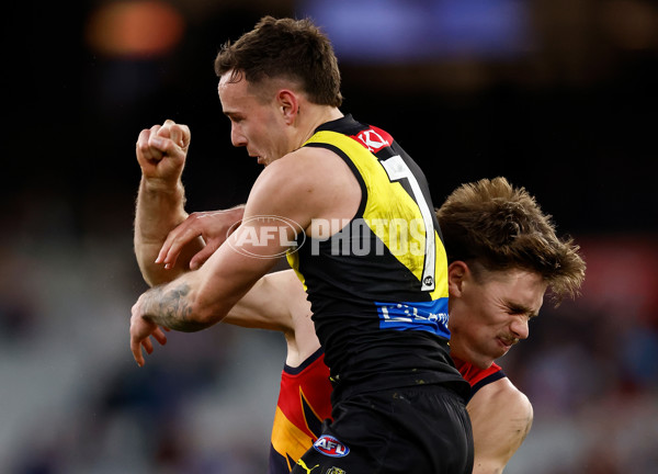 AFL 2025 Round 16 - Richmond v Adelaide - A-60286392