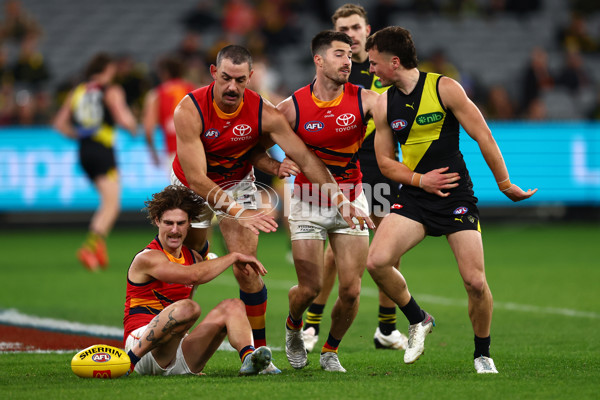 AFL 2025 Round 16 - Richmond v Adelaide - A-60288910