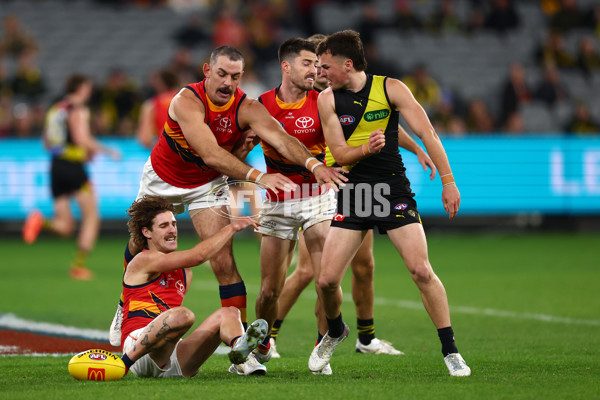 AFL 2025 Round 16 - Richmond v Adelaide - A-60290941