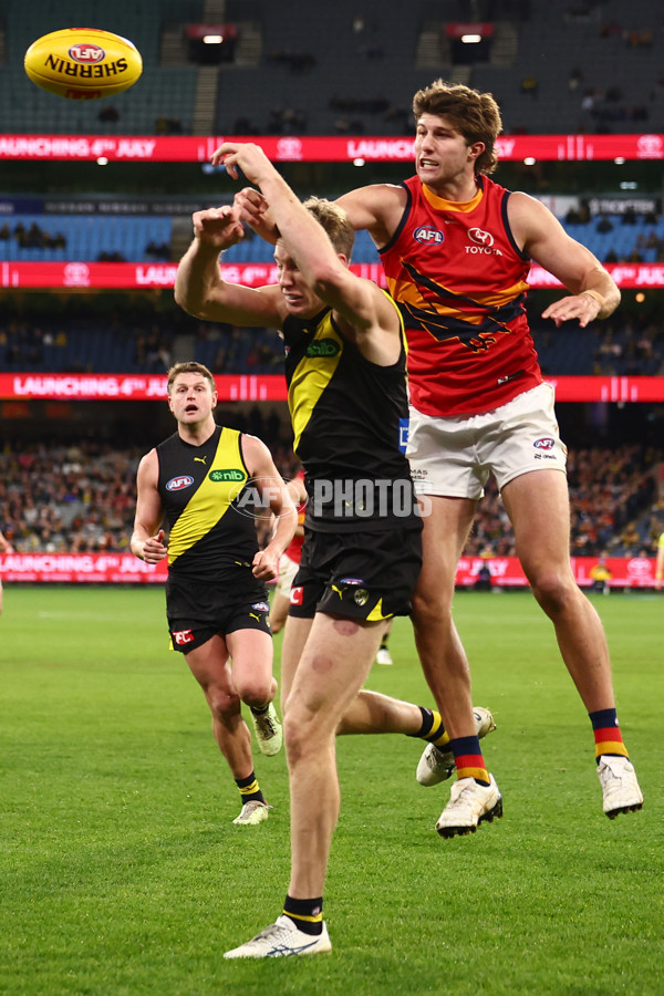 AFL 2025 Round 16 - Richmond v Adelaide - A-60291463