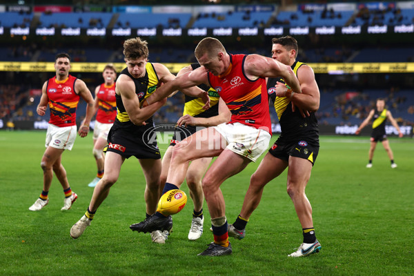 AFL 2025 Round 16 - Richmond v Adelaide - A-60291524