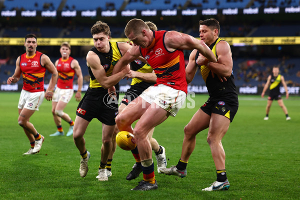 AFL 2025 Round 16 - Richmond v Adelaide - A-60291526
