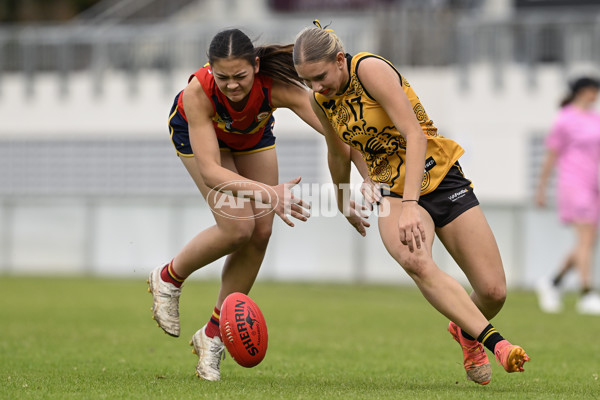 AFL National Championships U18 Girls 2025 - Western Australia v South Australia - A-60293582