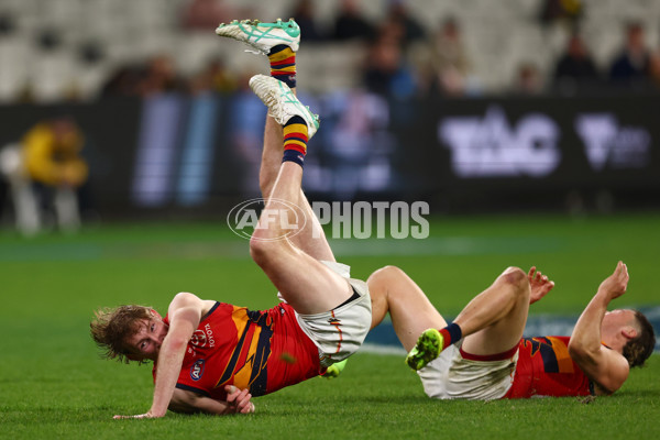 AFL 2025 Round 16 - Richmond v Adelaide - A-60294079