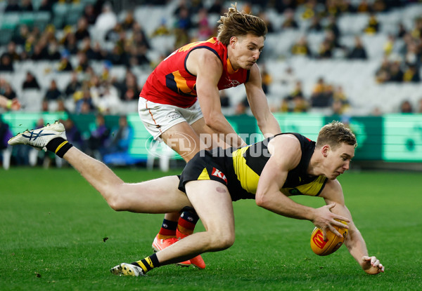 AFL 2025 Round 16 - Richmond v Adelaide - A-60298550