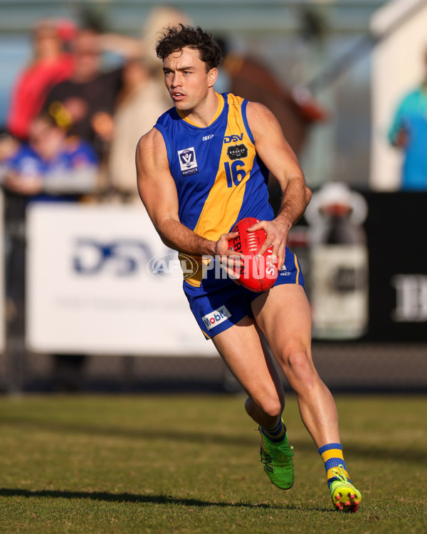 VFL 2025 Round 14 - Williamstown v Sandringham - A-60303559