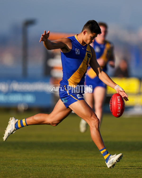 VFL 2025 Round 14 - Williamstown v Sandringham - A-60303561
