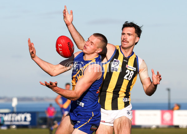 VFL 2025 Round 14 - Williamstown v Sandringham - A-60304542