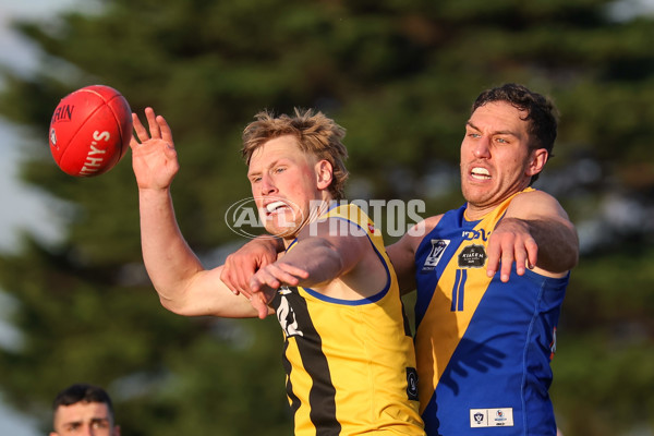 VFL 2025 Round 14 - Williamstown v Sandringham - A-60304544