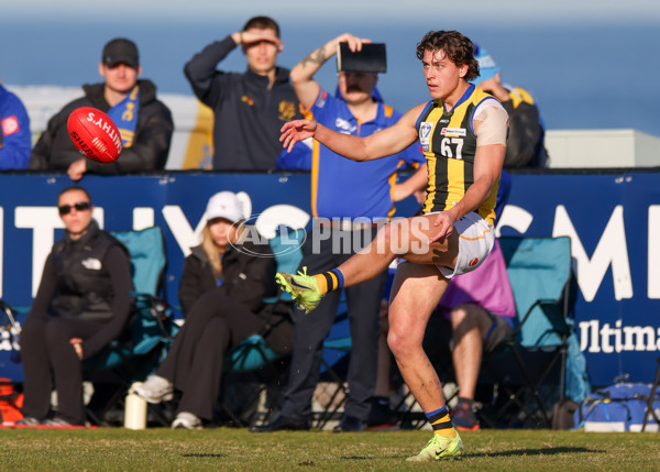 VFL 2025 Round 14 - Williamstown v Sandringham - A-60304545