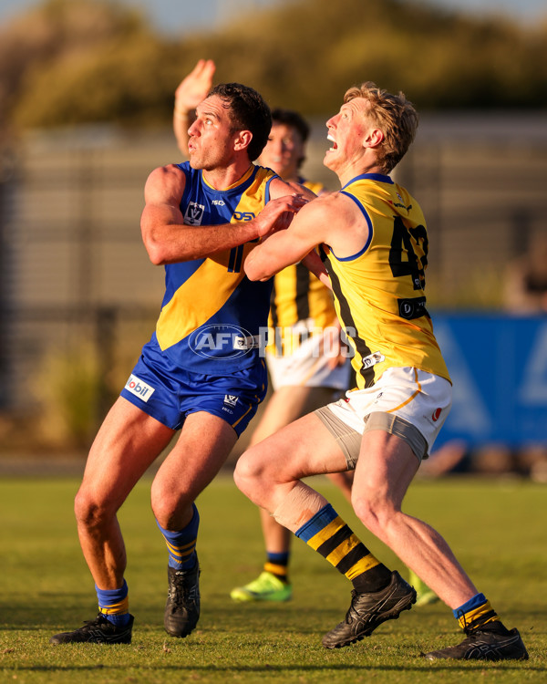 VFL 2025 Round 14 - Williamstown v Sandringham - A-60304557