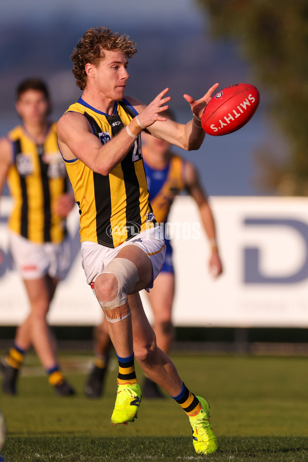 VFL 2025 Round 14 - Williamstown v Sandringham - A-60304558