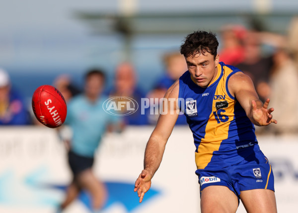 VFL 2025 Round 14 - Williamstown v Sandringham - A-60304564