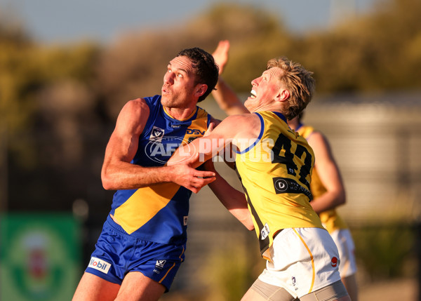 VFL 2025 Round 14 - Williamstown v Sandringham - A-60304565