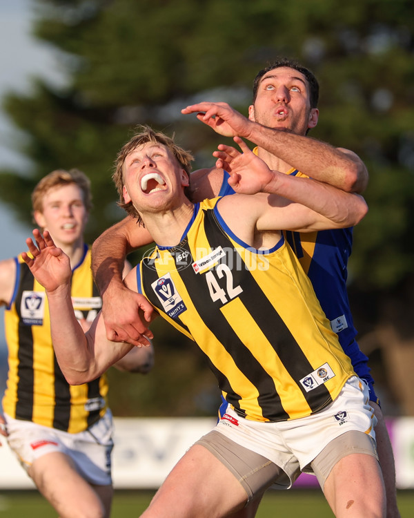 VFL 2025 Round 14 - Williamstown v Sandringham - A-60304567