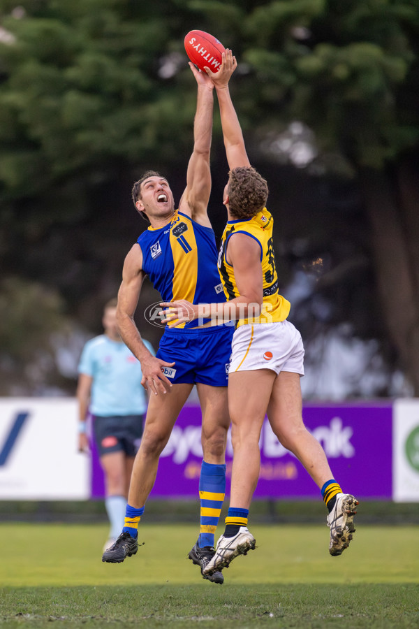 VFL 2025 Round 14 - Williamstown v Sandringham - A-60304573