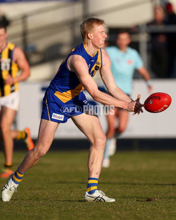 VFL 2025 Round 14 - Williamstown v Sandringham - A-60305991