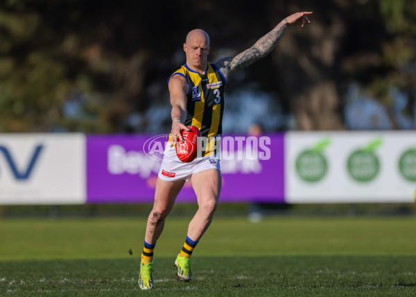 VFL 2025 Round 14 - Williamstown v Sandringham - A-60305992