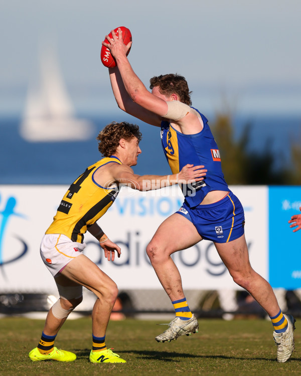 VFL 2025 Round 14 - Williamstown v Sandringham - A-60305993