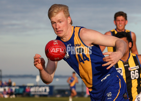 VFL 2025 Round 14 - Williamstown v Sandringham - A-60305994