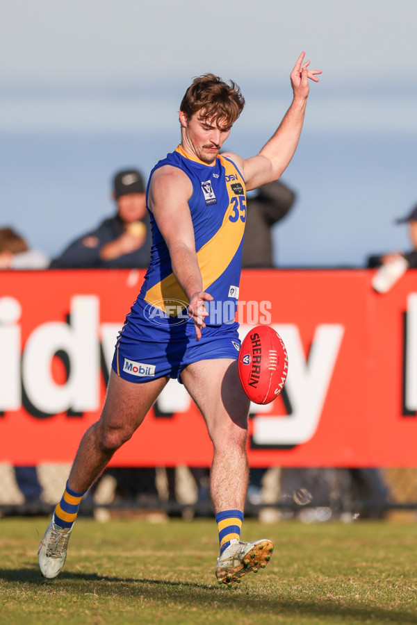VFL 2025 Round 14 - Williamstown v Sandringham - A-60305995