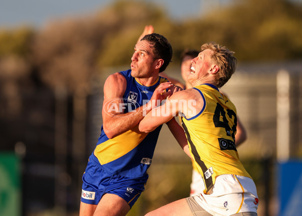 VFL 2025 Round 14 - Williamstown v Sandringham - A-60305999