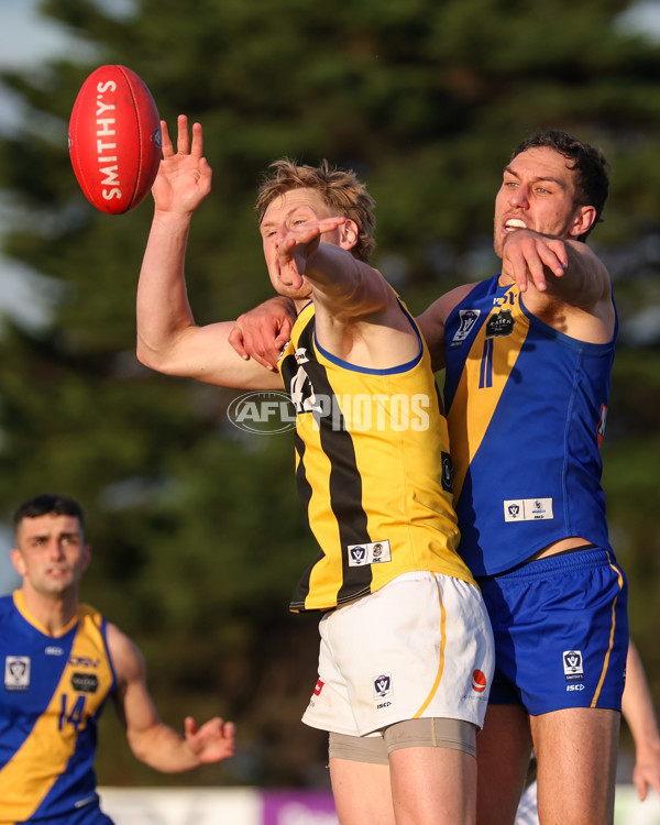 VFL 2025 Round 14 - Williamstown v Sandringham - A-60306011