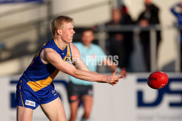VFL 2025 Round 14 - Williamstown v Sandringham - A-60306015