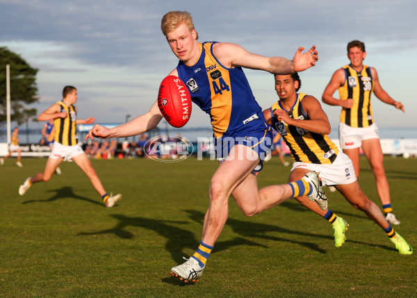 VFL 2025 Round 14 - Williamstown v Sandringham - A-60306017