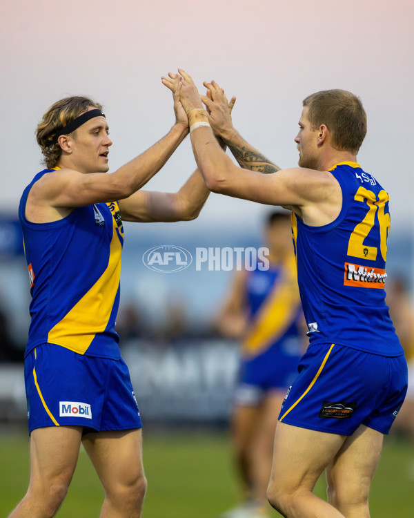 VFL 2025 Round 14 - Williamstown v Sandringham - A-60306025