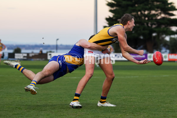 VFL 2025 Round 14 - Williamstown v Sandringham - A-60306027