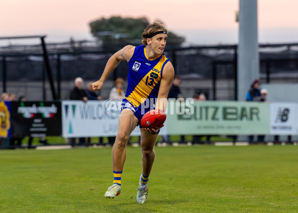 VFL 2025 Round 14 - Williamstown v Sandringham - A-60306029
