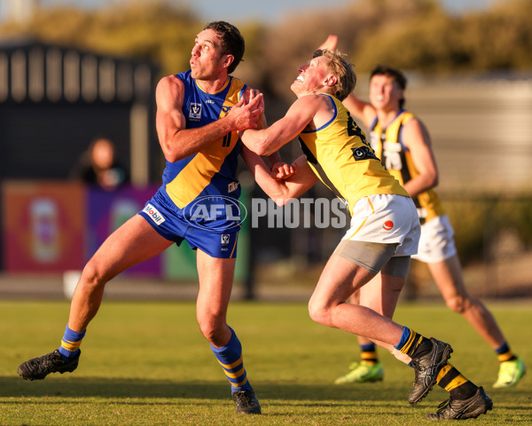 VFL 2025 Round 14 - Williamstown v Sandringham - A-60306037
