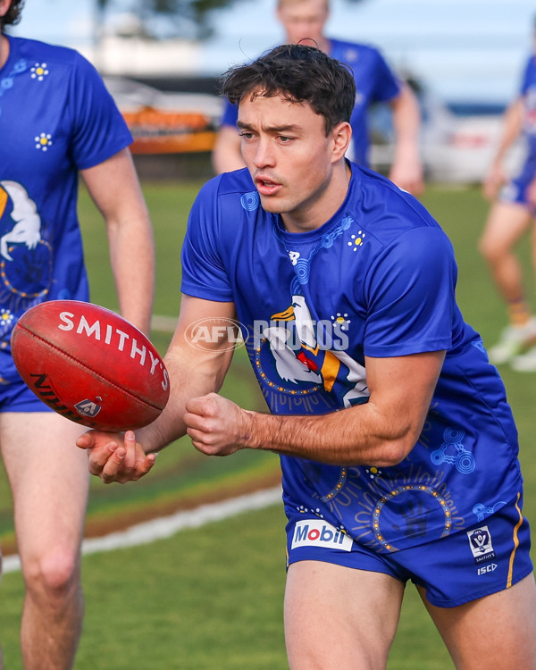 VFL 2025 Round 14 - Williamstown v Sandringham - A-60307116