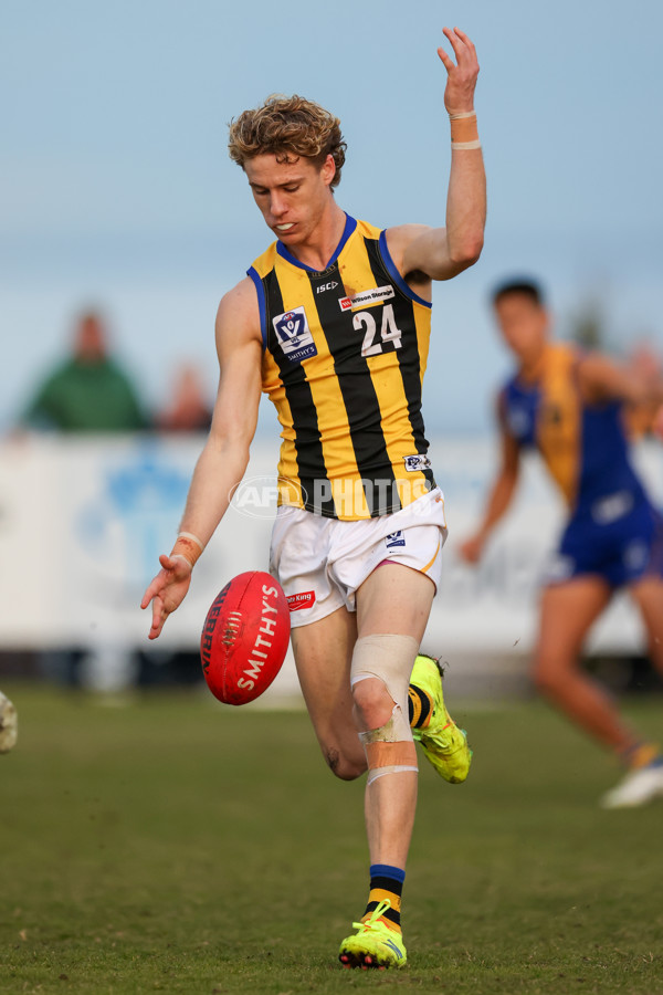 VFL 2025 Round 14 - Williamstown v Sandringham - A-60307117