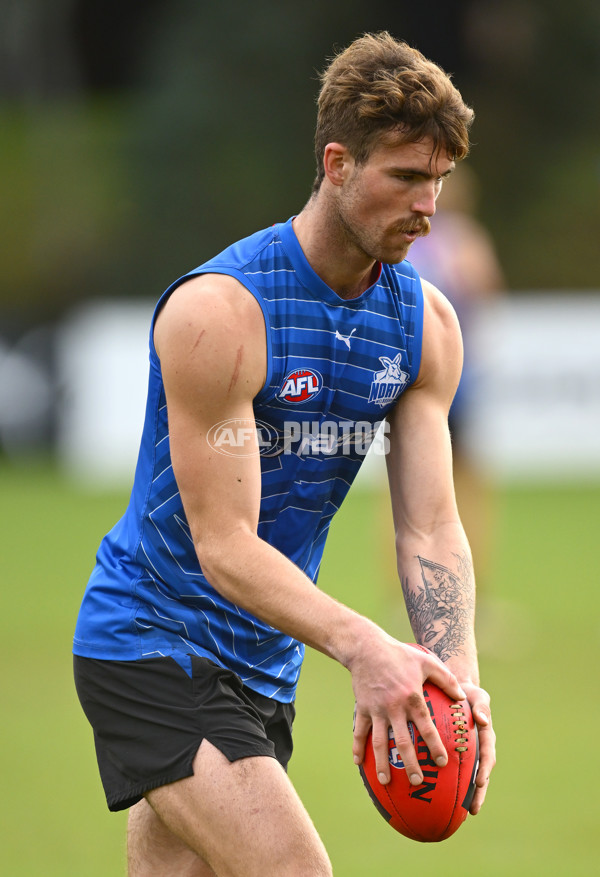 AFL 2025 Training - North Melbourne 010725 - A-60320628