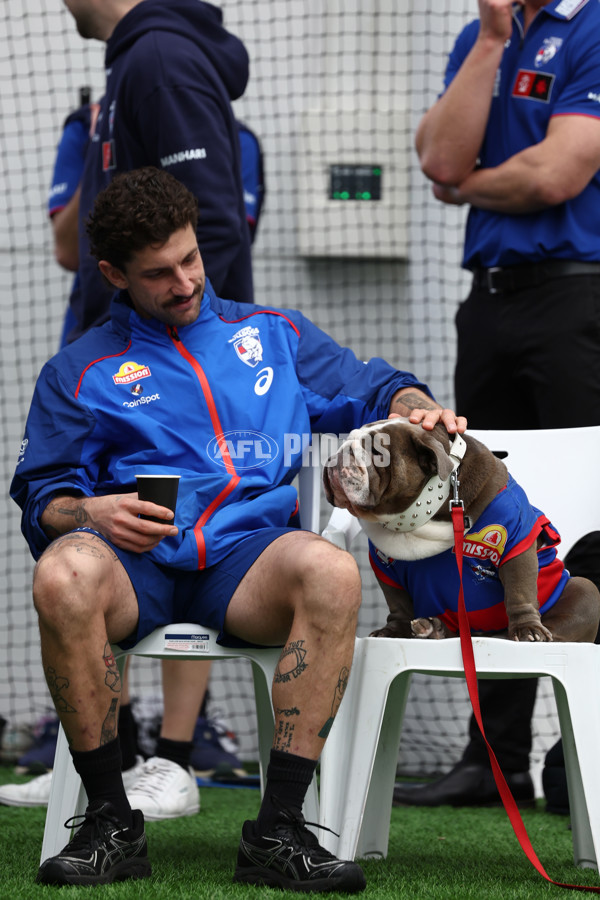 AFLW 2025 Media - Western Bulldogs Team Photo Day - A-60323365