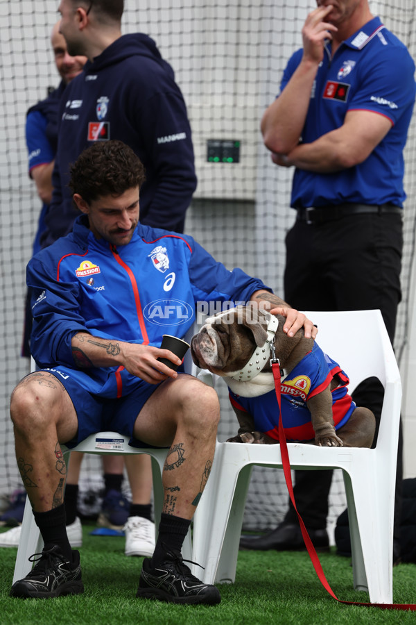 AFLW 2025 Media - Western Bulldogs Team Photo Day - A-60323366