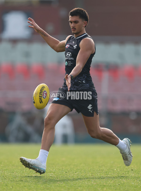 AFL 2025 Training - Carlton 030725 - A-60328643