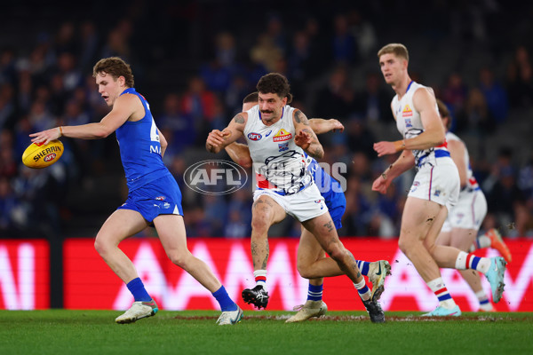 AFL 2025 Round 17 - North Melbourne v Western Bulldogs - A-60331801