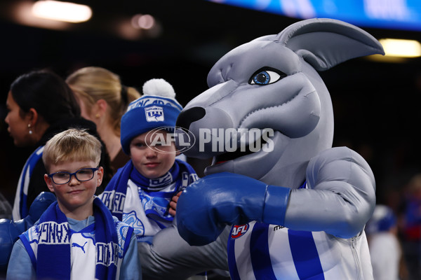 AFL 2025 Round 17 - North Melbourne v Western Bulldogs - A-60334340