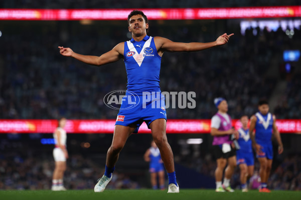AFL 2025 Round 17 - North Melbourne v Western Bulldogs - A-60336349